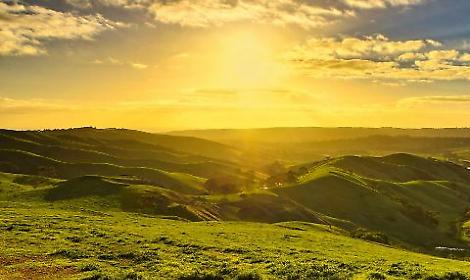 Giornata Regionale dei Colli Veneti: il Vicentino in festa tra natura, storia e tradizioni