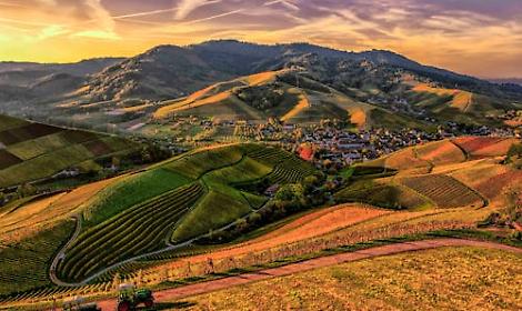Giornata Regionale dei Colli Veneti: il Vicentino in festa tra natura, storia e tradizioni
