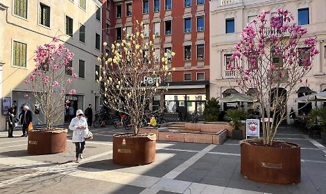 Foto dei fiori in centro a Padova