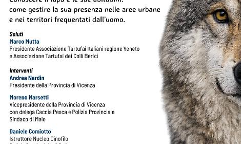 Il lupo e l&rsquo;ecosistema vicentino: incontro pubblico a Malo