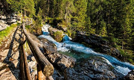 Il ponte sospeso in Trentino: un'esperienza da brivido a Madonna di Campiglio