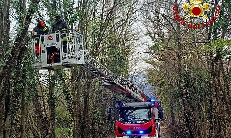 Foto degli interventi