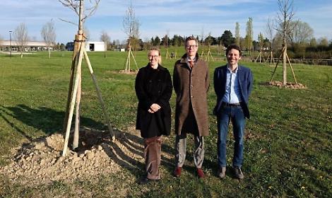 La piantumazione dei nuovi alberi