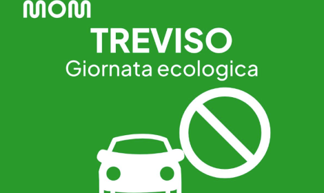 Giornata ecologica Treviso