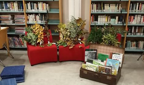 BibliotecaCarmignano