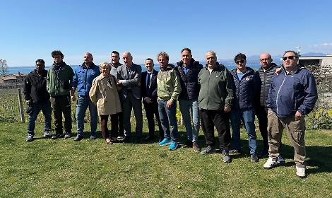 Pesce siluro nel Garda, la Regione studia strategie tra emergenza e opportunit&agrave;