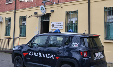 Serra della droga in garage: padre e figlio arrestati nel Polesine