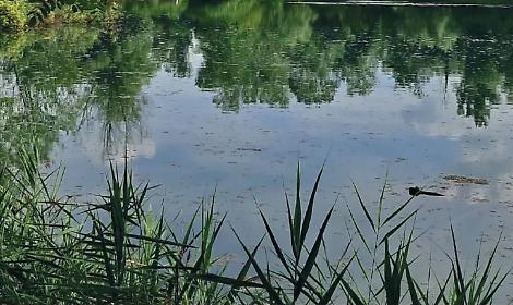 La storia delle fornaci rivive a Noale