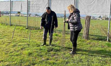 Volontari del Bosco delle Associazioni