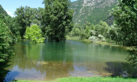 Lago di Loppio in secca: allarme per l&rsquo;ecosistema