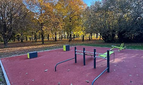 PIOVE DI SACCO bosco di pianura