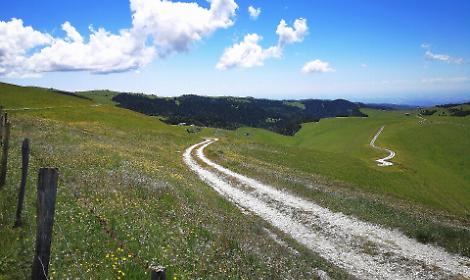 La Lessinia si apre a tutti: presentati i nuovi percorsi accessibili a Bosco Chiesanuova