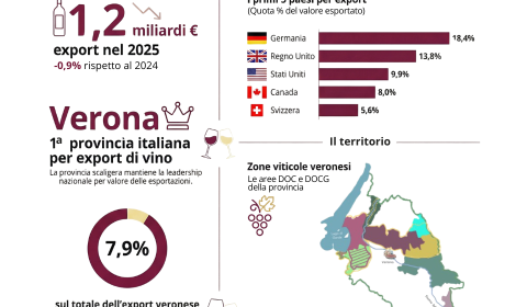 Verona guida l&rsquo;export del vino italiano: primo posto nazionale con 1,2 miliardi di euro