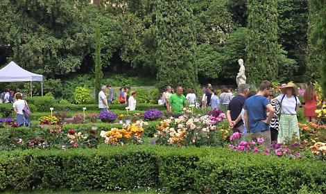 Foto della scorsa edizione