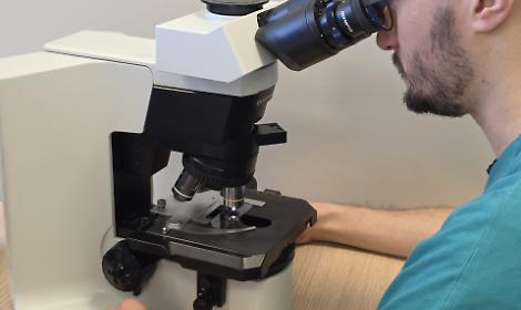 Ematologia di Treviso, superati i mille trapianti: un traguardo che parla di cura e solidariet&agrave;