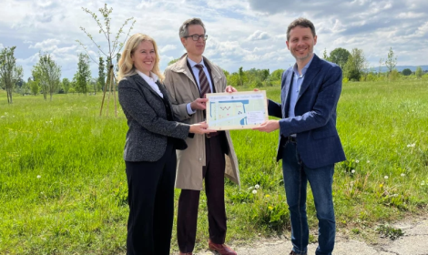 Vicenza, 23 nuovi alberi dal &ldquo;bosco temporaneo&rdquo; della Basilica Palladiana diventano patrimonio stabile del Parco della Pace