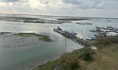 Rosolina: Porto Caleri