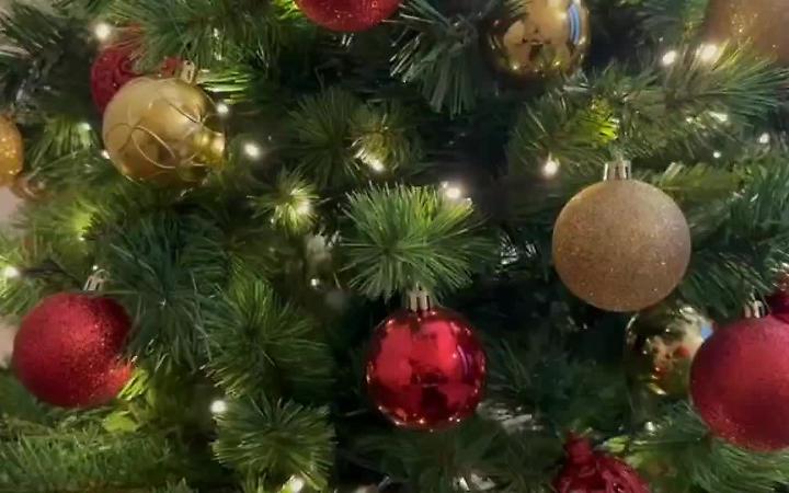 Buon Natale dai Vigili del Fuoco del Veneto