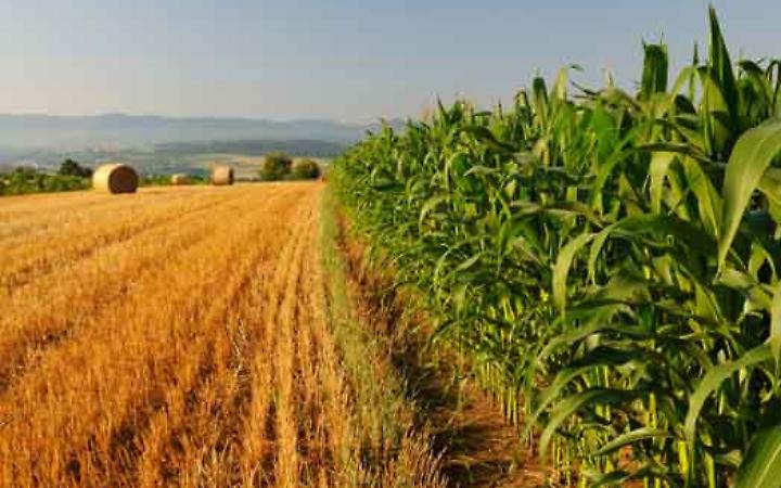 Oscar Green 2025: il talento dei giovani agricoltori veneti premiato a Montebelluna