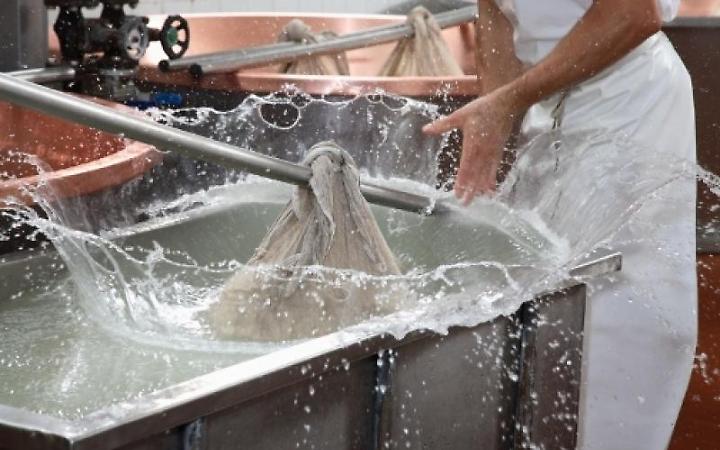 Civilt&agrave; del Latte nell'Alto Vicentino: presentazione del libro sulla tradizione lattiero-casearia a Thiene