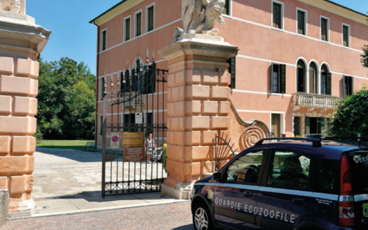 Mirano Villa Belvedere