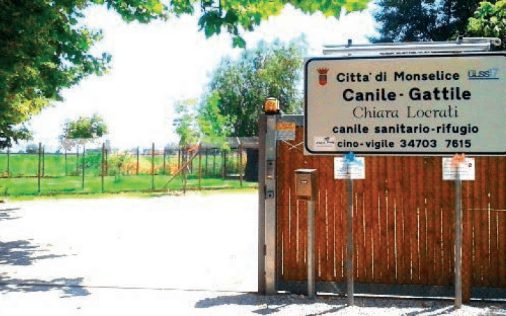 Canile Chiara Locrati Monselice