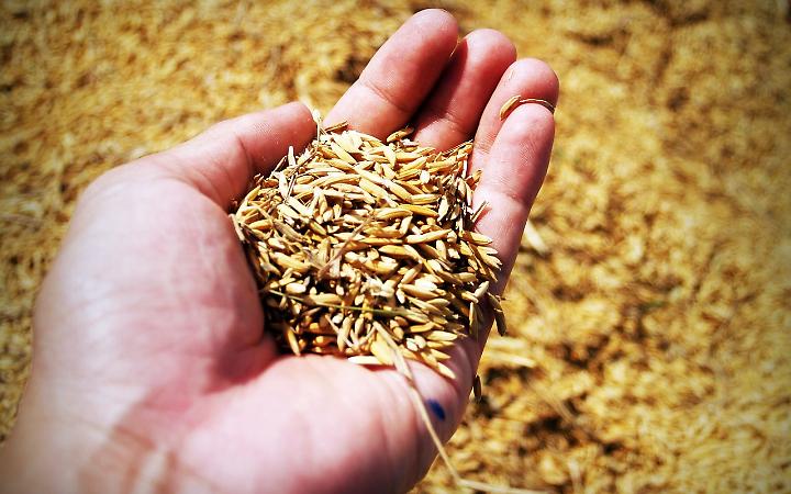 Il Veneto porta il "Gusto" a Bari: a BTM Italia il progetto Interreg &ldquo;GUSTI&rdquo; celebra il territorio attraverso i suoi prodotti