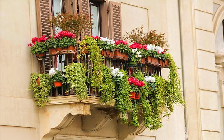 balcone fiori