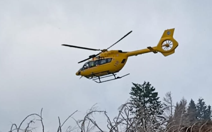 Orrore a Cormons: donna aggredita dai propri cani, trasportata in elicottero in codice rosso