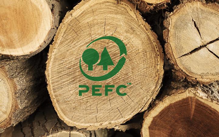 top-view-of-wood-logs