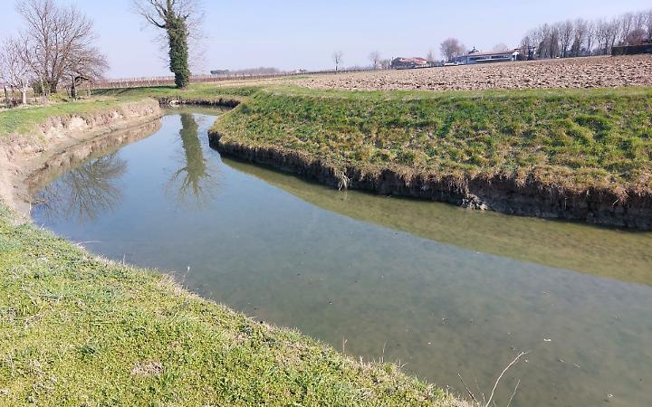 Tratto dello scolo Berto