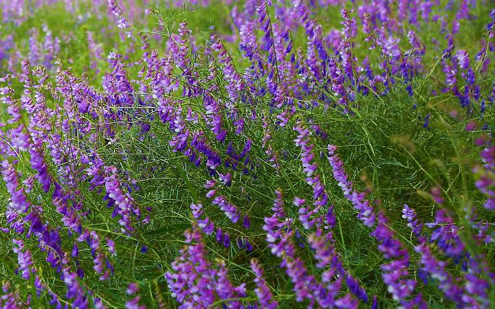 Trento inaugura il Giardino dei Giusti e delle Giuste alle Albere