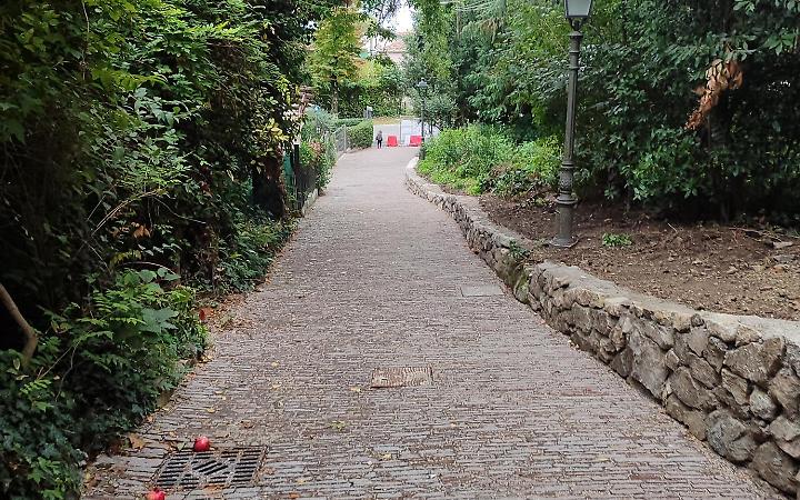 Parco di Palazzo Contarini