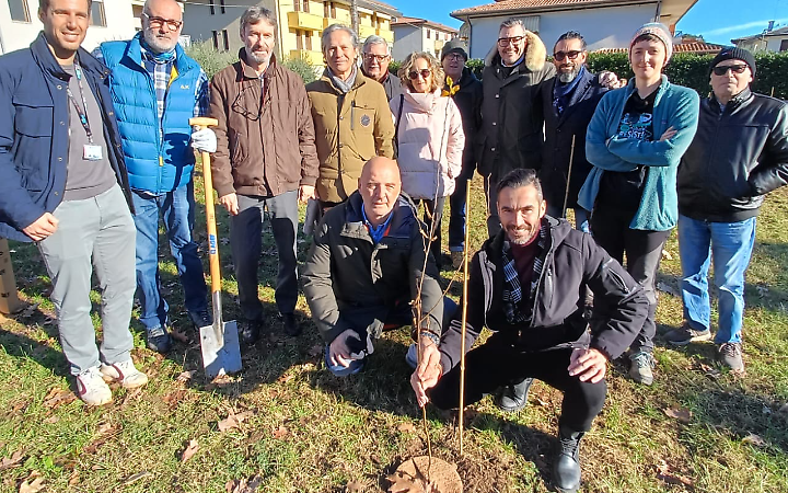 &ldquo;Bassano Verde&rdquo;: al via il progetto di riforestazione urbana con cinque nuove foreste in citt&agrave;