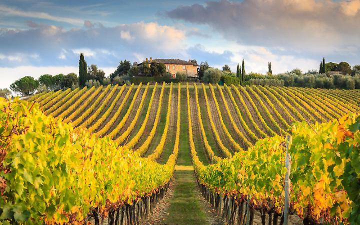 Vittorio Veneto, inclusione e lavoro qualificato nel vino trevigiano: un progetto pilota per il settore