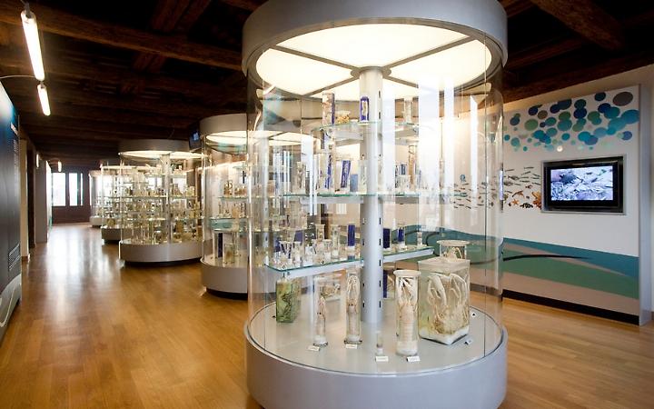 Il Natale all'Universit&agrave; di Padova: arte, cultura e storia in festa