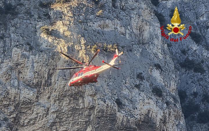 Rivoli Veronese, camoscio salvato dai Vigili del Fuoco