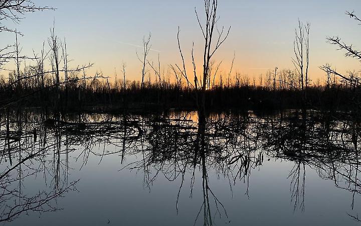 Oasi Lycaena, arriva il bando della Citt&agrave; Metropolitana di Venezia