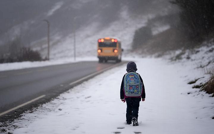 Foto di repertorio generata con IA