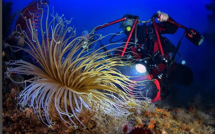 Inaugurazione della mostra di Francesco Turano al Club Sommozzatori Padova