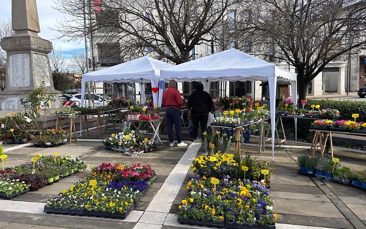 Montegrotto Terme celebra la Festa della Donna con antiquariato e cultura