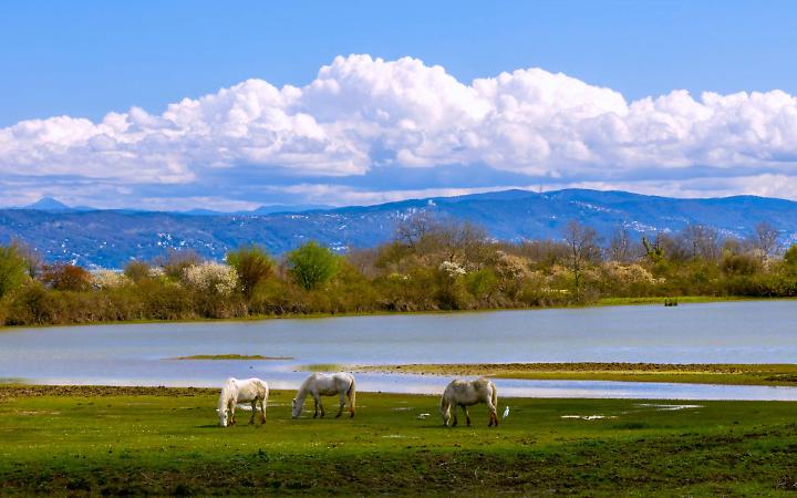 Padova, al Club Sommozzatori apre la mostra fotografica &ldquo;Orizzonti liquidi&rdquo;