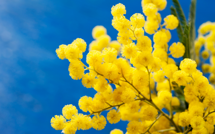 Una serata di musica per celebrare il talento e la creativit&agrave; delle donne