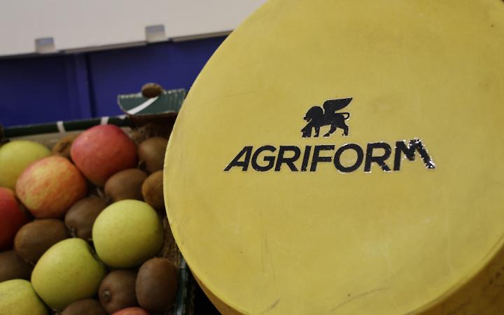 Agroalimentare veneto, Fedagripesca Confcooperative rilancia: 7 miliardi di fatturato e 237 cooperative