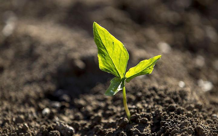 Padova, mattina ecologica alla Stanga: raccolti rifiuti in via Venezia e via della Croce Rossa