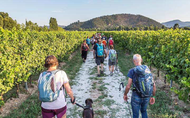 "Sentieri Sonori Junior": alla scoperta dei Colli Euganei con musica e natura