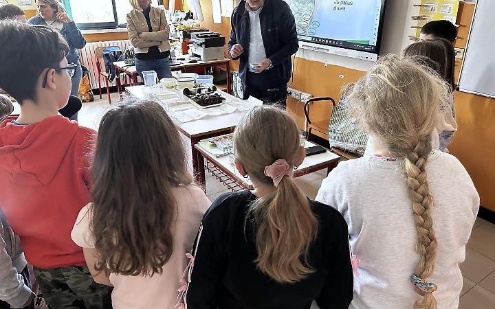 A Gambarare di Mira un percorso educativo coinvolge i bambini nello studio e nella valorizzazione dell&rsquo;oasi di Noale