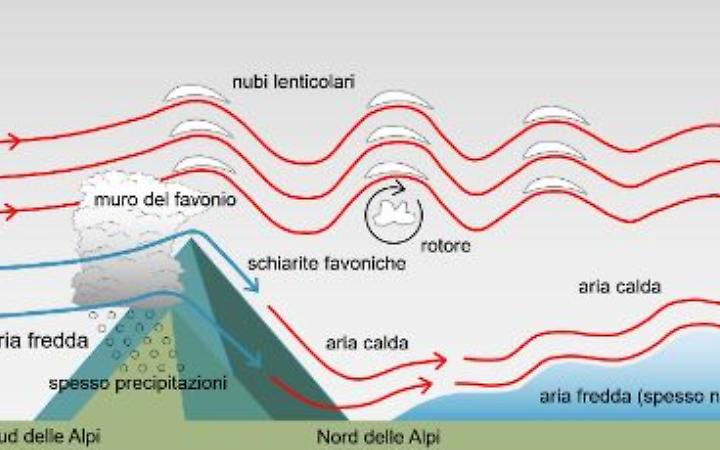 Schema di formazione del Fohen