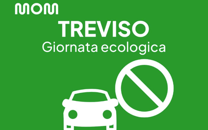 Giornata ecologica Treviso