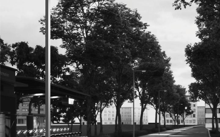 Noventa Padovana: al via il progetto per l'illuminazione intelligente con 2.000 lampioni a LED